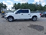 1FTEW1C47KK****** Used 2019 Ford F-150 in Florida State