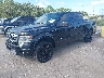 1FTFW1CT6EF****** Used and Repairable 2014 Ford F-150 in Orlando