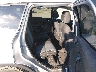 1FMCU9GX1EU****** Wrecked 2014 Ford Escape in Eugene