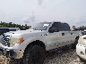 1FTFW1EF2BF****** Used and Repairable 2011 Ford F-150 in Chattanooga