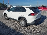 2T3G1RFV5PC****** Salvamento y Reparables 2023 Toyota RAV4 en Indianapolis