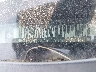 2G4WS52J441****** Used 2004 Buick Century in York Springs