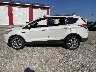 1FMCU0J94EU****** Reparables 2014 Ford Escape en Estado de Indiana
