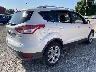 1FMCU0J94EU****** Salvamento y Destrozados 2014 Ford Escape en Estado de Indiana