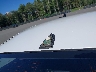 5NPDH4AEXGH****** Wrecked 2016 Hyundai Elantra