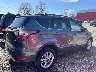 1FMCU0GD7HU****** Salvamento y Destrozados 2017 Ford Escape en Estado de Indiana