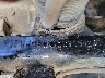 1FUJA6CK15L****** Used 2005 Freightliner Conventional in Wilmington
