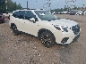 JF2SKAPC4NH****** Salvamento y Destrozados 2022 Subaru Forester en Bridgeport