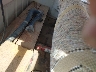 1FTFX25G5BK****** Destrozados 1981 Ford F-250 en Permian Basin