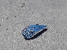 5N1DR2AN8LC****** Wrecked 2020 Nissan Pathfinder in Texas State