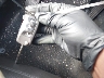 3VWRJ7AJ8AM****** Salvage 2010 Volkswagen Jetta in Maryland State