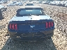 1FATP8UH7M5****** Destrozados 2021 Ford Mustang