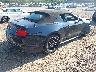 1FATP8UH7M5****** Salvamento y Destrozados 2021 Ford Mustang en Estado de Nueva York