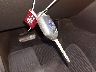 4S4BSBFC8F3****** Salvage 2015 Subaru Outback in Tennessee State