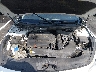 5NPE34AF3FH****** Reparables 2015 Hyundai Sonata en Nashville