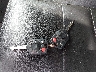 1FMCU03G29K****** Reparables 2009 Ford Escape en Saint Louis