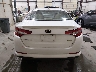 KNAGM4AD3C5****** Usados 2012 Kia Optima Hybrid
