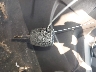 1FAHP3K23CL****** Salvage 2012 Ford Focus in Texas State