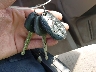 5TDZK23CX8S****** Salvage 2008 Toyota Sienna in Maryland State