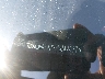 KM8R44HE9NU****** Used 2022 Hyundai Palisade