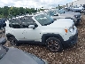 ZACCJBDT0FP****** Usados 2015 Jeep Renegade en Estado de Illinois