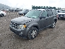 1FMCU9D70CK****** Used and Repairable 2012 Ford Escape in Pittsburgh