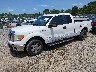1FTFX1CT2CF****** Usados y Reparables 2012 Ford F-150 en Gulf Coast