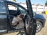 5NMS5CAD5LH****** Usados y Reparables 2020 Hyundai Santa Fe en Estado de Washington