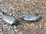 JA4AD2A37GZ****** Wrecked 2016 Mitsubishi Outlander in Indiana State