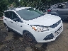 1FMCU0F79DU****** Salvamento y Destrozados 2013 Ford Escape en Greensboro