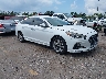 5NPE34AF8JH****** Salvamento y Destrozados 2018 Hyundai Sonata en West Palm Beach