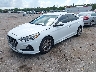 5NPE34AF8JH****** Salvamento y Reparables 2018 Hyundai Sonata en Estado de Florida
