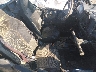 3NSNAE99XLH****** Salvage 2020 Polaris RZR