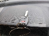 5J6RE38709L****** Salvage 2009 Honda CR-V in Virginia State