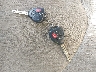 JTMZF33V79D****** Salvamento 2009 Toyota RAV4 en Estado de Connecticut