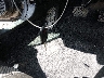 19XFC2F64KE****** Salvage 2019 Honda Civic in Louisiana State