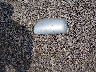 2T1BU4EE0CC****** Wrecked 2012 Toyota Corolla in Ohio State