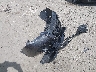 3TMCZ5AN2KM****** Wrecked 2019 Toyota Tacoma in Wisconsin State