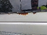 1FDRE14L6YH****** Usados 2000 Ford E-150 en Estado de Virginia