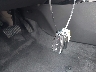 KL77LJEP9SC****** Salvamento 2025 Chevrolet Trax en Estado de Pennsylvania