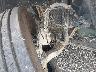 4V4WC9EH0MN****** Usados y Reparables 2021 Volvo VNR en Specialty Division