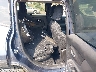 ZACNJDB19NP****** Destrozados 2022 Jeep Renegade en Fargo