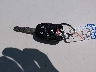 5FNRL5H60CB****** Salvamento 2012 Honda Odyssey en Estado de Nueva Jersey