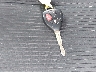 4T3ZA3BB9FU****** Salvage 2015 Toyota Venza in Connecticut State