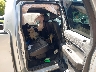 1FTFW1ET6DF****** Destrozados 2013 Ford F-150 en Grand Rapids