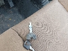 2J4FY29S5MJ****** Salvage 1991 Jeep Wrangler in Texas State