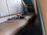 WBA1F5C53FV****** Destrozados 2015 BMW 228i en Shreveport