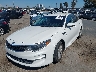 5XXGT4L31GG****** Salvage and Repairable 2016 Kia Optima in California State