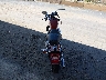 1HD1CGP16XK****** Salvage and Repairable 1999 Harley-Davidson Sportster 1200 Custom in California State