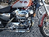 1HD1CGP16XK****** Wrecked 1999 Harley-Davidson Sportster 1200 Custom in Rec Rides Online Exclusive